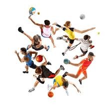 中国篮协谈WCBA赛制改革：初见成效，将持续优化